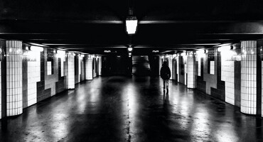 IMG 0313
