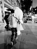 IMG 1406