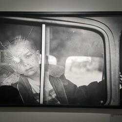 Expositions et musées