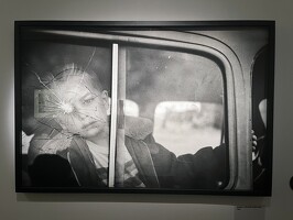 2023 07 Erwitt 14