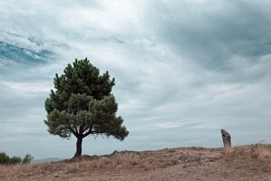 2020 08 Lozere 109